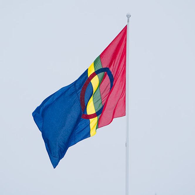 Hovedbilde Sameflagg til flaggstang