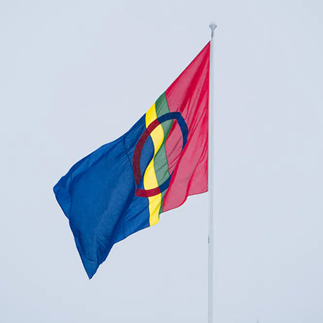 Hovedbilde Sameflagg til flaggstang