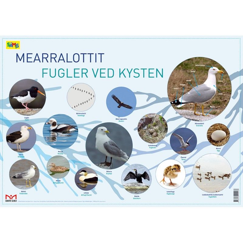 Plakater nordsamisk-norsk